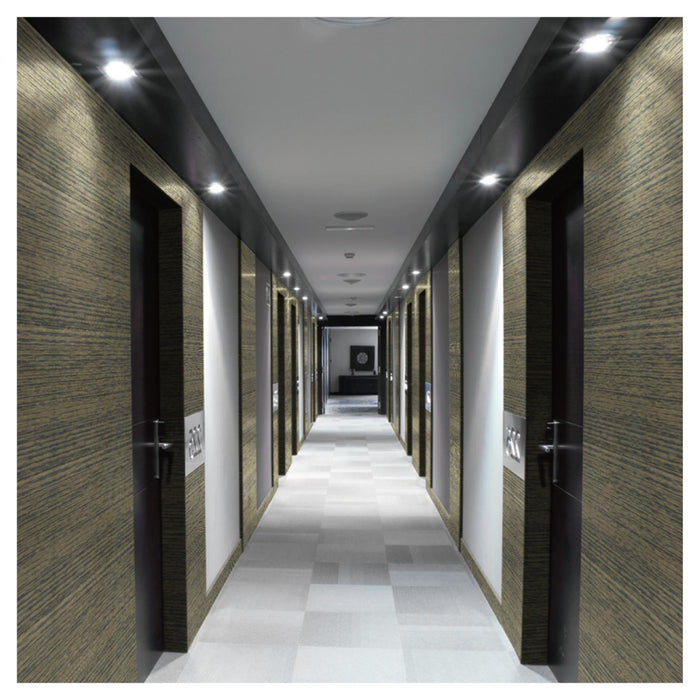 JP- 【Night Dream】