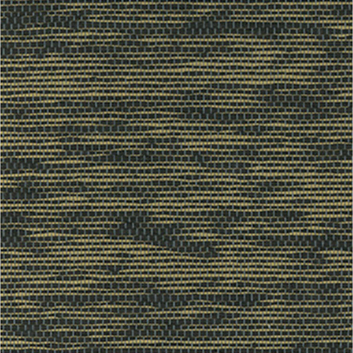 JP- 【Night Dream】